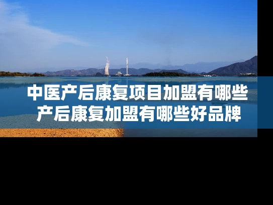 中医产后康复项目加盟有哪些 产后康复加盟有哪些好品牌