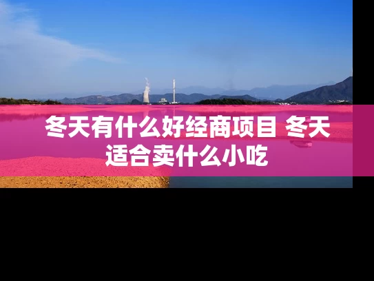 冬天有什么好经商项目 冬天适合卖什么小吃