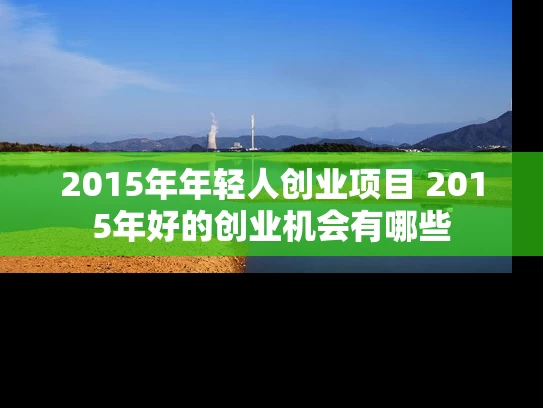 2015年年轻人创业项目 2015年好的创业机会有哪些