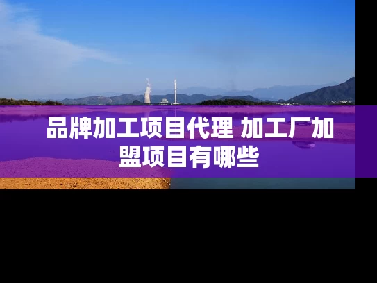 品牌加工项目代理 加工厂加盟项目有哪些