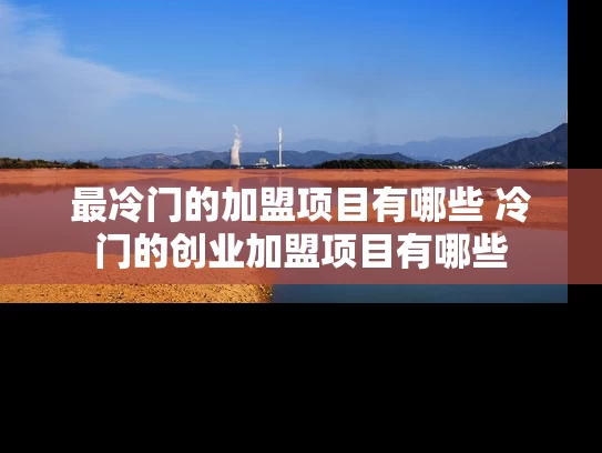 最冷门的加盟项目有哪些 冷门的创业加盟项目有哪些