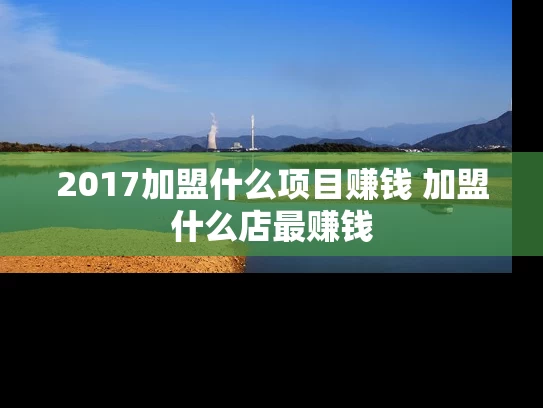 2017加盟什么项目赚钱 加盟什么店最赚钱