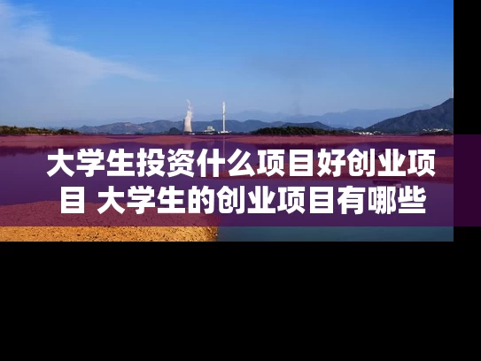 大学生投资什么项目好创业项目 大学生的创业项目有哪些