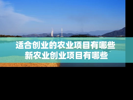 适合创业的农业项目有哪些 新农业创业项目有哪些