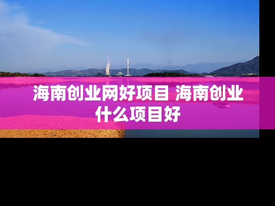 海南创业网好项目 海南创业什么项目好