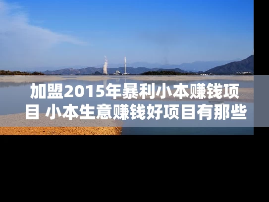 加盟2015年暴利小本赚钱项目 小本生意赚钱好项目有那些