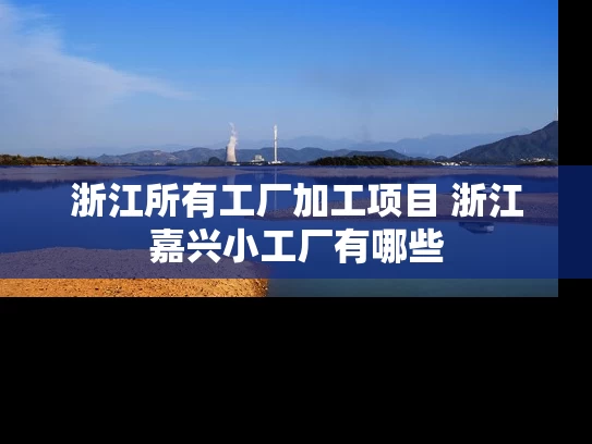 浙江所有工厂加工项目 浙江嘉兴小工厂有哪些