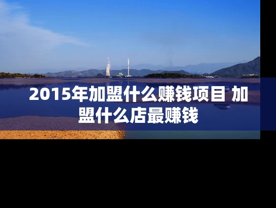 2015年加盟什么赚钱项目 加盟什么店最赚钱