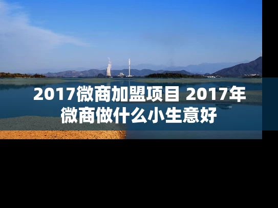2017微商加盟项目 2017年微商做什么小生意好