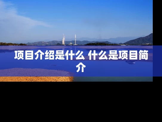 项目介绍是什么 什么是项目简介