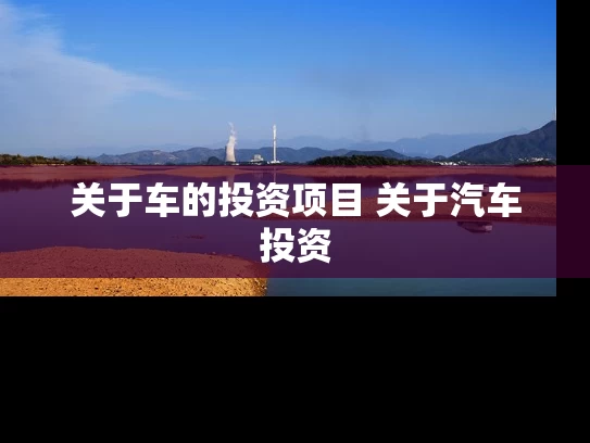 关于车的投资项目 关于汽车投资