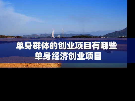 单身群体的创业项目有哪些 单身经济创业项目
