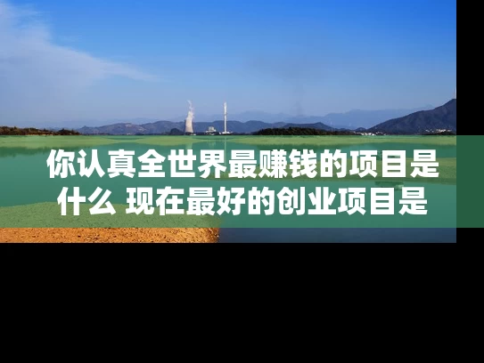 你认真全世界最赚钱的项目是什么 现在最好的创业项目是什么