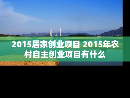 2015居家创业项目 2015年农村自主创业项目有什么