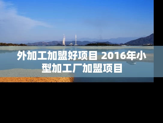 外加工加盟好项目 2016年小型加工厂加盟项目