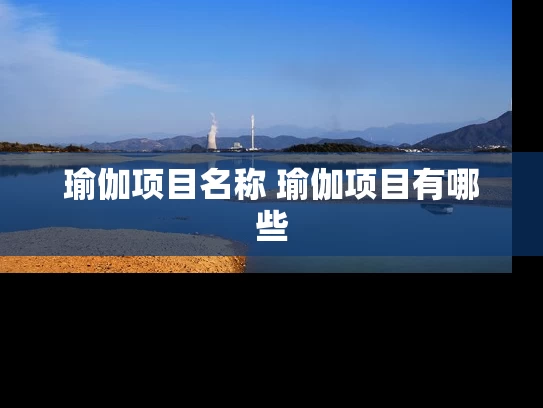 瑜伽项目名称 瑜伽项目有哪些