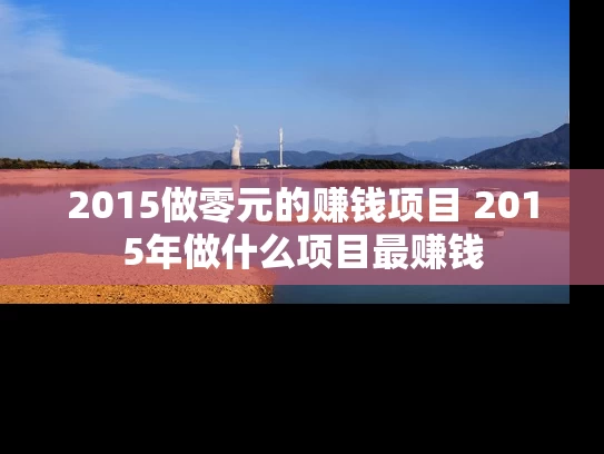 2015做零元的赚钱项目 2015年做什么项目最赚钱