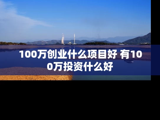 100万创业什么项目好 有100万投资什么好