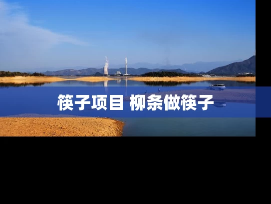 筷子项目 柳条做筷子