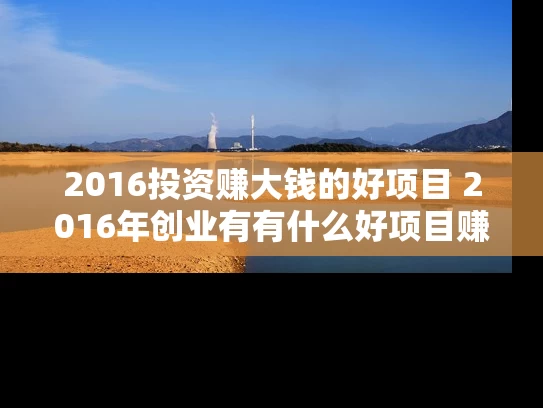 2016投资赚大钱的好项目 2016年创业有有什么好项目赚到钱