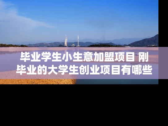 毕业学生小生意加盟项目 刚毕业的大学生创业项目有哪些