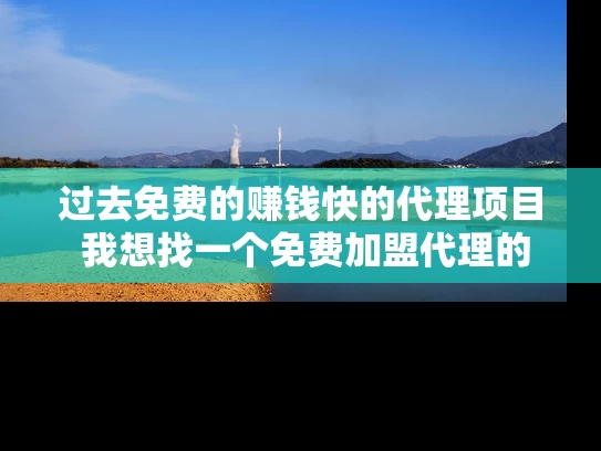过去免费的赚钱快的代理项目 我想找一个免费加盟代理的项目