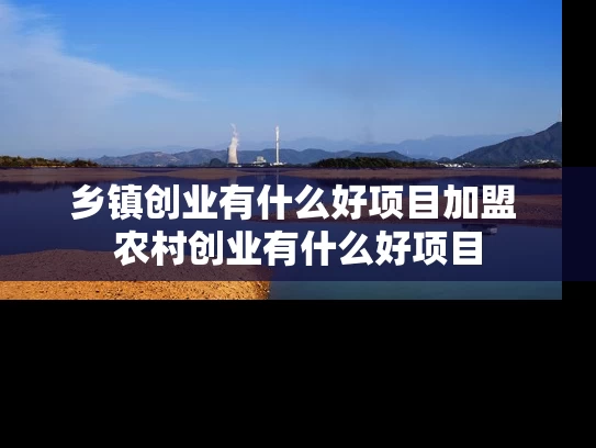 乡镇创业有什么好项目加盟 农村创业有什么好项目