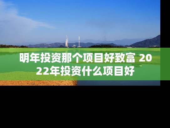明年投资那个项目好致富 2022年投资什么项目好