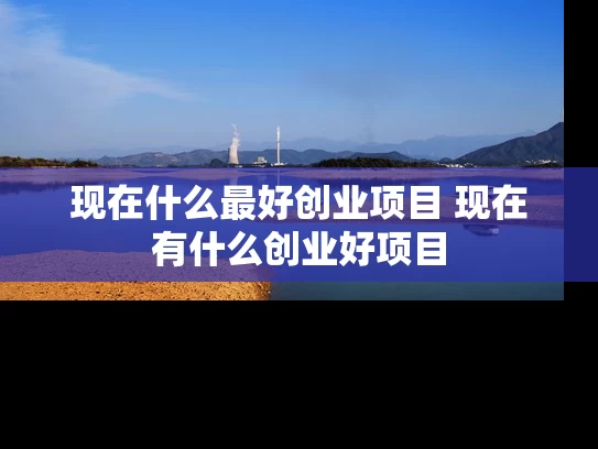 现在什么最好创业项目 现在有什么创业好项目