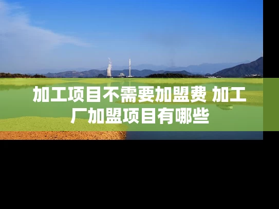 加工项目不需要加盟费 加工厂加盟项目有哪些