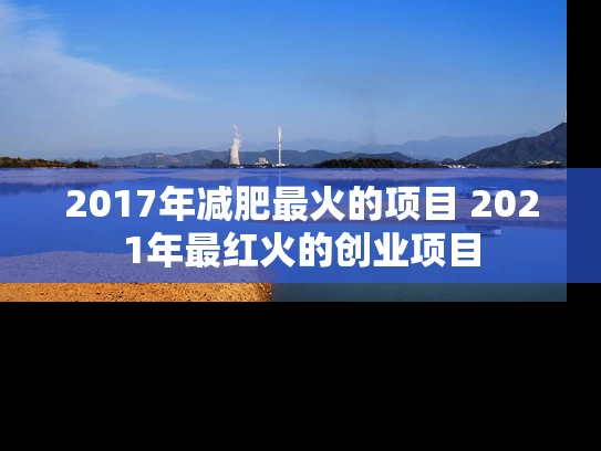 2017年减肥最火的项目 2021年最红火的创业项目