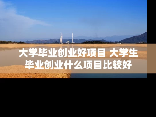 大学毕业创业好项目 大学生毕业创业什么项目比较好