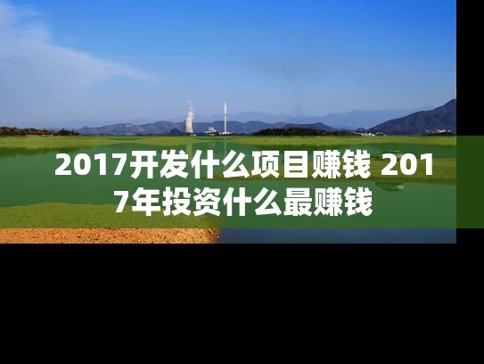 2017开发什么项目赚钱 2017年投资什么最赚钱