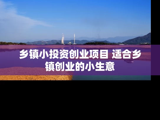 乡镇小投资创业项目 适合乡镇创业的小生意