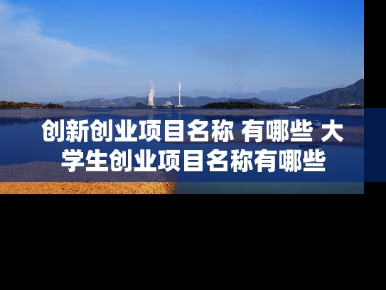 创新创业项目名称 有哪些 大学生创业项目名称有哪些