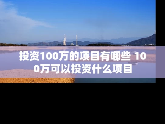 投资100万的项目有哪些 100万可以投资什么项目