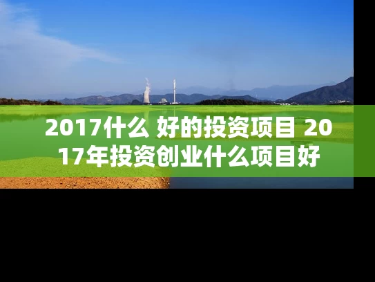 2017什么 好的投资项目 2017年投资创业什么项目好