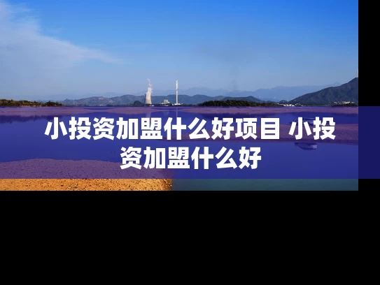 小投资加盟什么好项目 小投资加盟什么好
