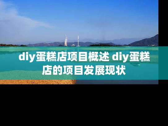 diy蛋糕店项目概述 diy蛋糕店的项目发展现状