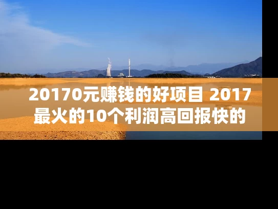20170元赚钱的好项目 2017最火的10个利润高回报快的项目