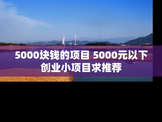 5000块钱的项目 5000元以下创业小项目求推荐