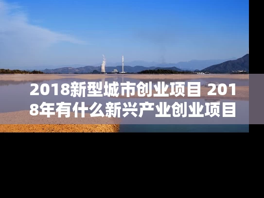 2018新型城市创业项目 2018年有什么新兴产业创业项目