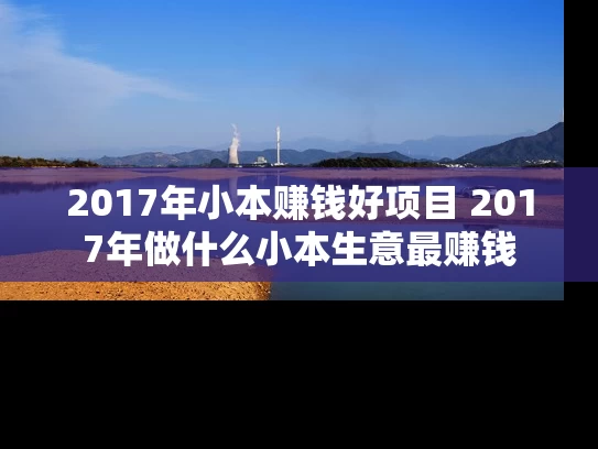 2017年小本赚钱好项目 2017年做什么小本生意最赚钱