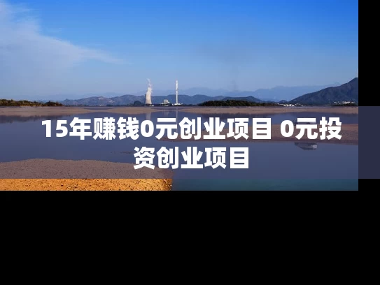 15年赚钱0元创业项目 0元投资创业项目