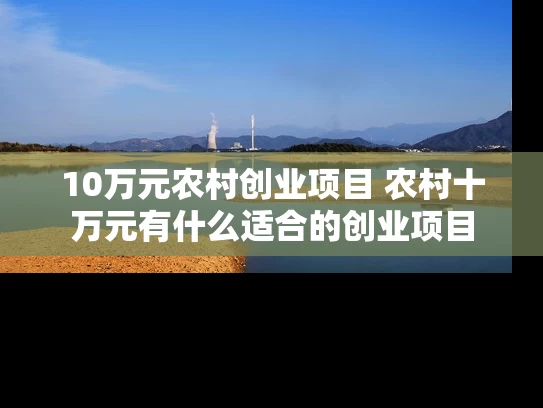 10万元农村创业项目 农村十万元有什么适合的创业项目