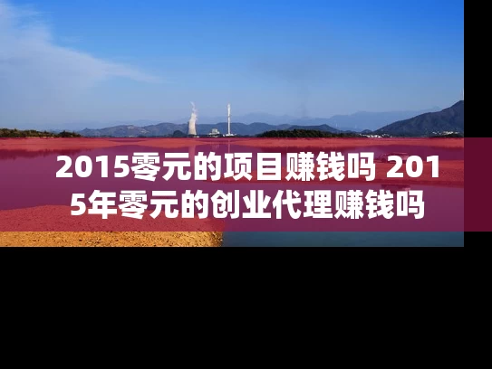 2015零元的项目赚钱吗 2015年零元的创业代理赚钱吗
