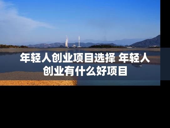 年轻人创业项目选择 年轻人创业有什么好项目