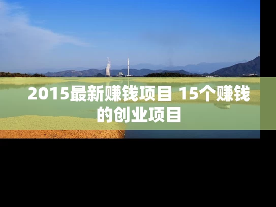 2015最新赚钱项目 15个赚钱的创业项目
