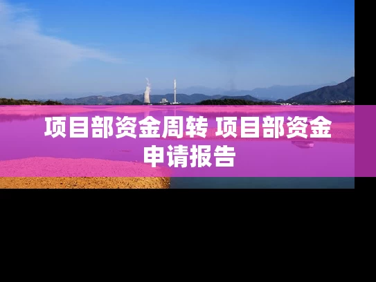项目部资金周转 项目部资金申请报告