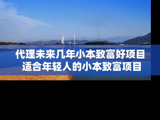代理未来几年小本致富好项目 适合年轻人的小本致富项目有哪些